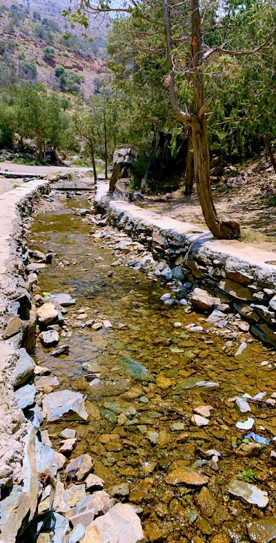 الباحه في غابة خيره الباحة.. جوهرة