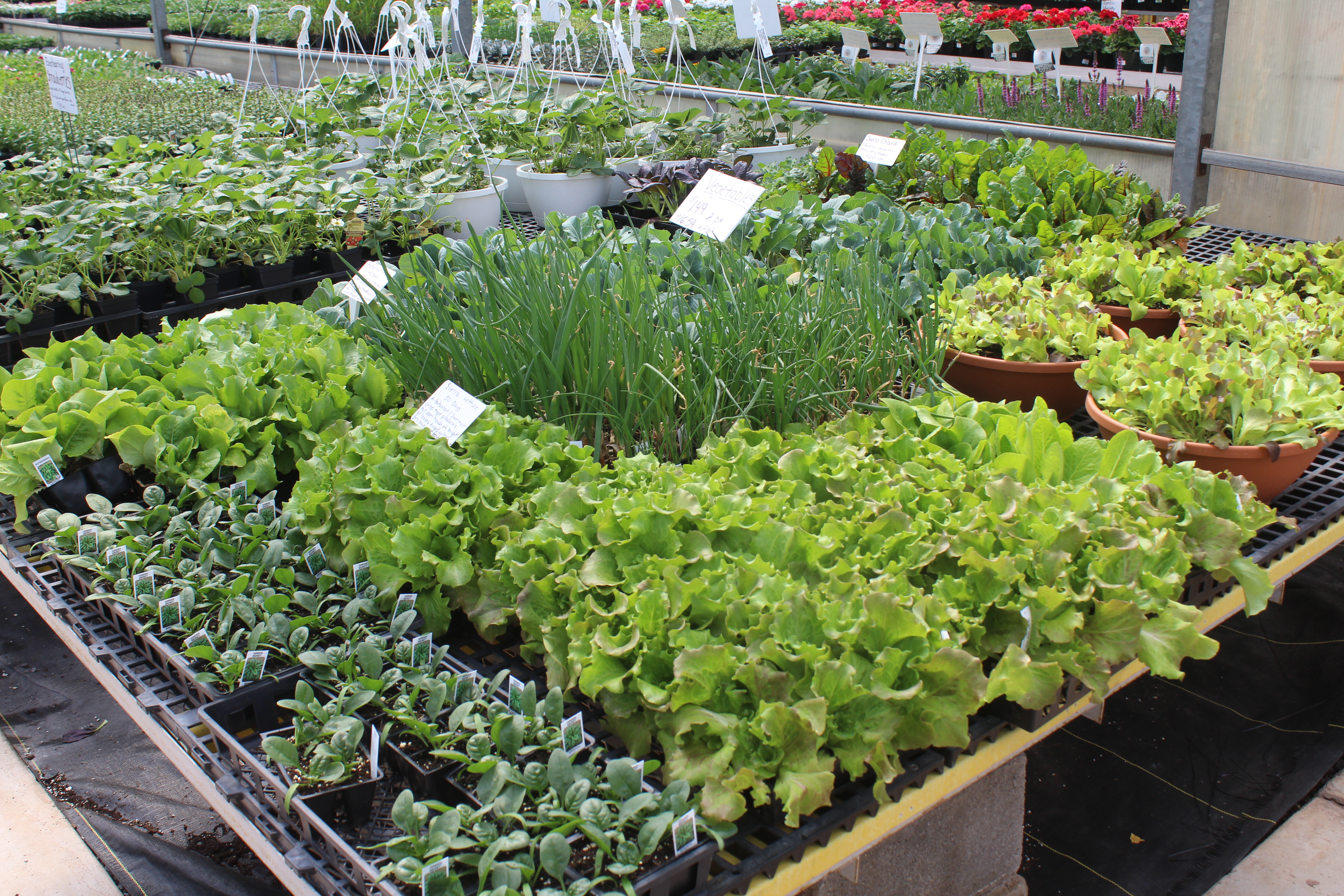 Wayside Greenhouse