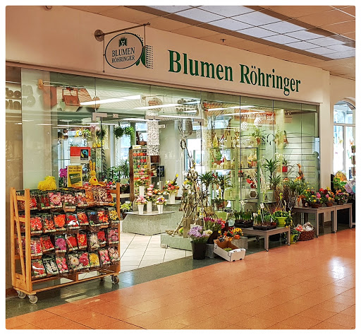 Blumen Röhringer im "Weißeritzpark"