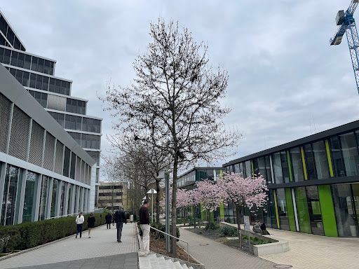 Deutsche Gesellschaft für Internationale Zusammenarbeit (GIZ) GmbH - Thumbnail