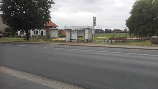 Liethe Kastanienallee - Wunstorf - Thumbnail