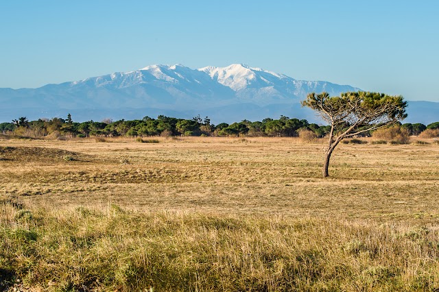 Pic du Canigou