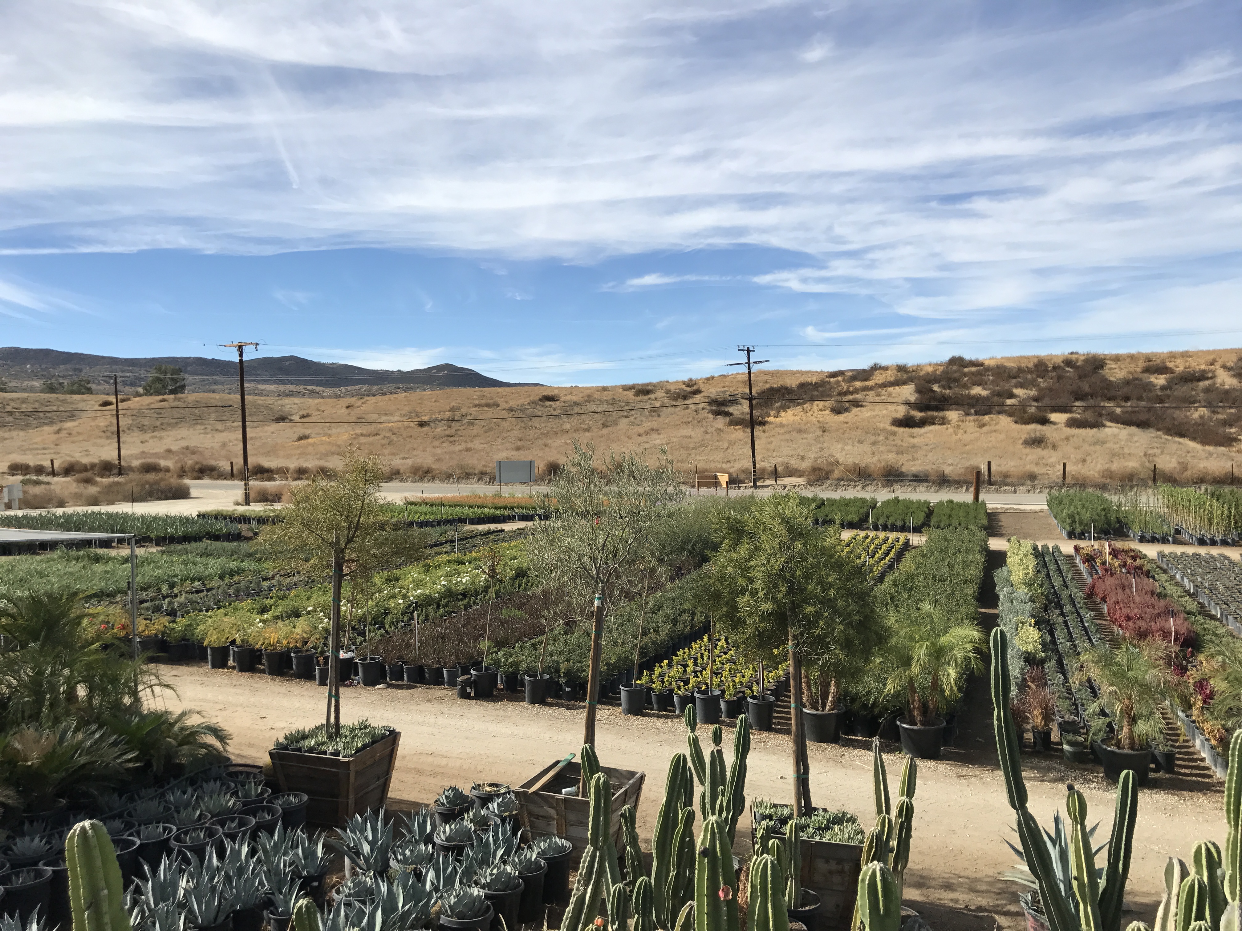 Southern Hill Nursery, Inc