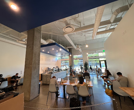 Moxie Coffee Co., cafe in Phoenix
