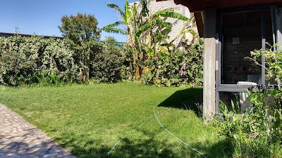 Photos of Hotel Petit Jard&iacute;n