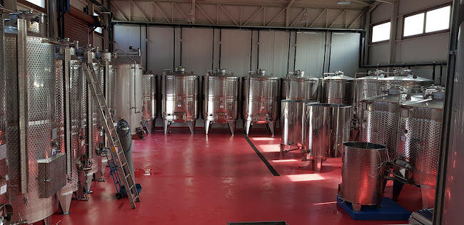 Domaine Agrovision - Στάγειρα-Άκανθος