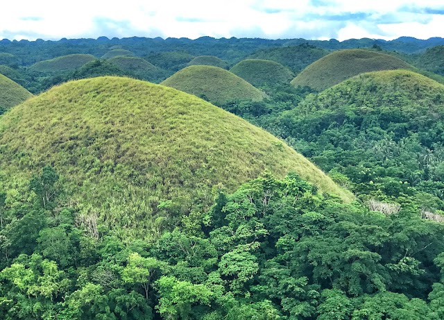 Chocolate Hills