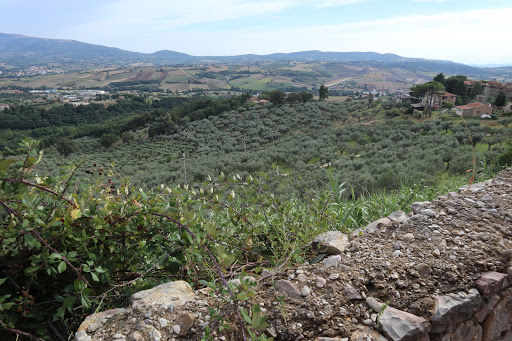 Rocca Sonora - Visual