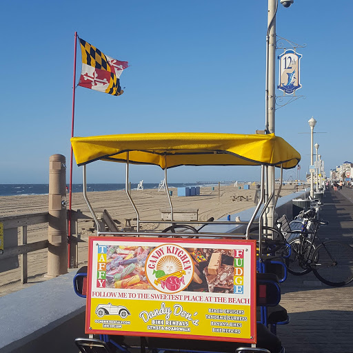Dandy Don's Bike Rentals & Service - Thumbnail