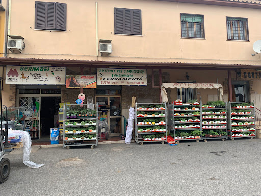Bernabei di Nanna Massimo
