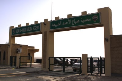 Photos of Sabah Al Ahmad Natural Reserve