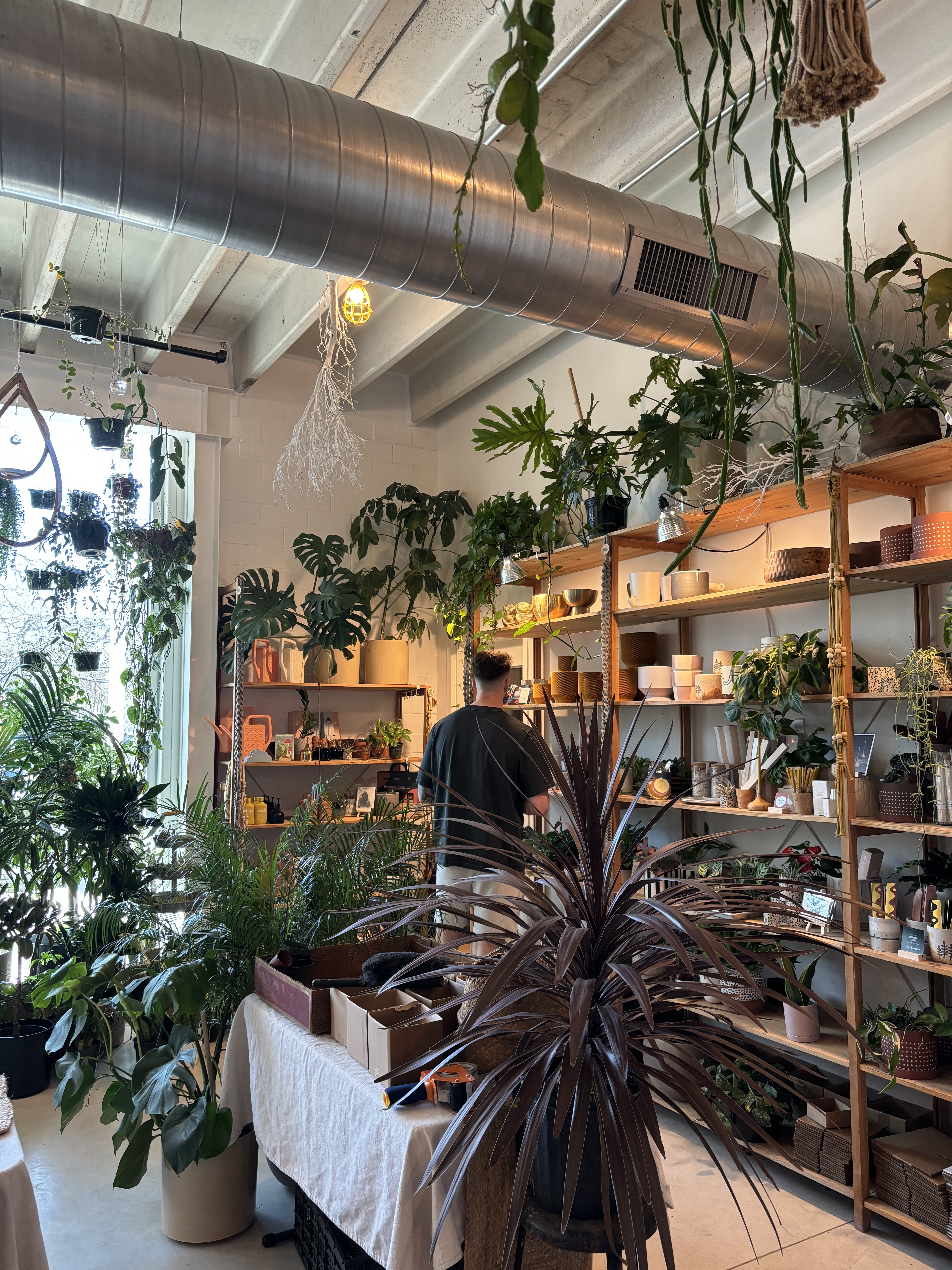 Plant Party