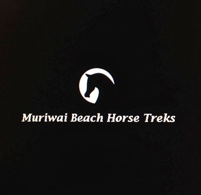 Photos of Muriwai Beach Horse Treks Auckland