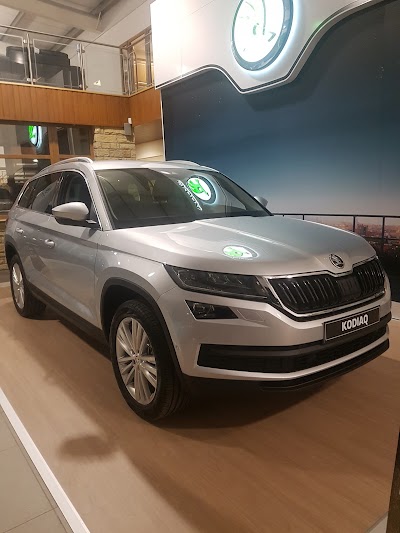 car-dealer