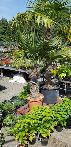DE BREE GARDENS - Hoveniersbedrijf & Tuincentrum Aalten - Thumbnail