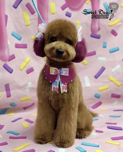 Sweet Dog Grooming - Thumbnail