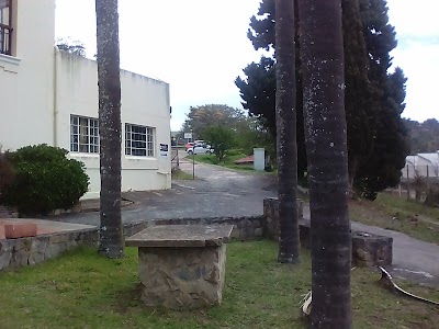 Photos of Bidvest Car Rental Rhodes University