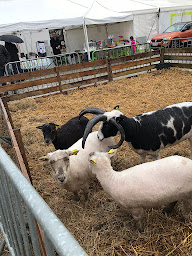 Photo n°1 de Boucherie charcuterie rôtisserie alimentation à Roubaix (Boucherie)