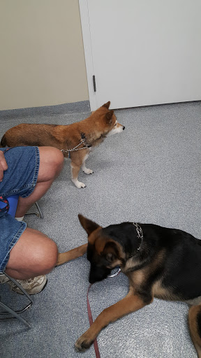 VCA Lloyd Animal Hospital - Thumbnail