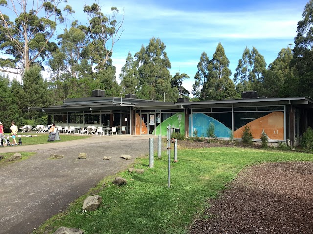 Otway Fly Treetop Adventures