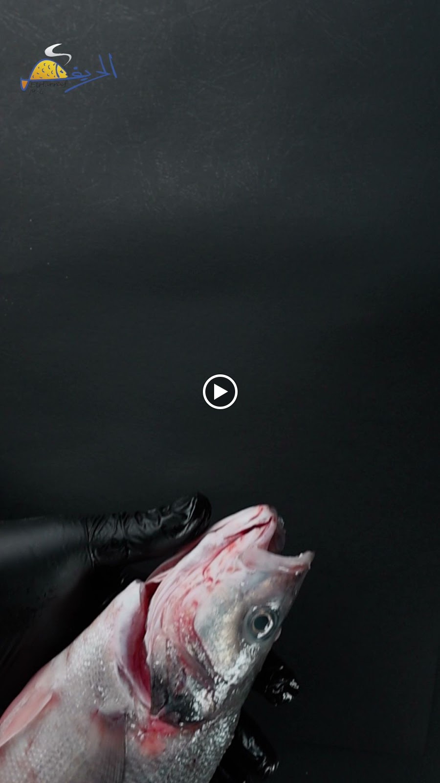 أسماك الحريف حولي - Elharreef Hawally Seafood - صورة 3