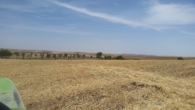 Photos of Metidji Domaine