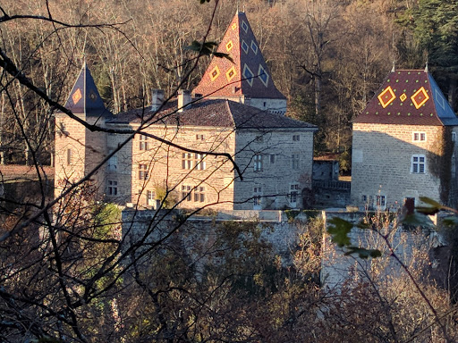 Club D'Aviron Du Sud Gresivaudan - Thumbnail