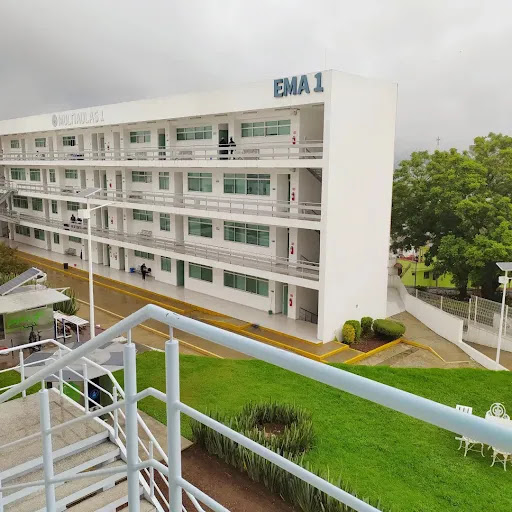 Complejo Universitario De la Salud. - Thumbnail