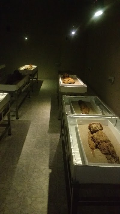 Photos of Museo Arqueol&oacute;gico San Miguel de Azapa