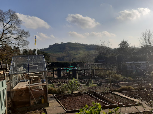 Harrop Road Allotments - Thumbnail