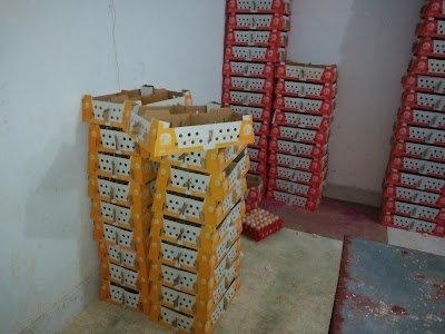 Photos of BRS Fisheries