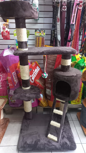 SPA Y PET SHOP MASCOTILANDIA Gallery - Mexico