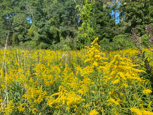 Marquette Greenway Trailhead Gallery - United States