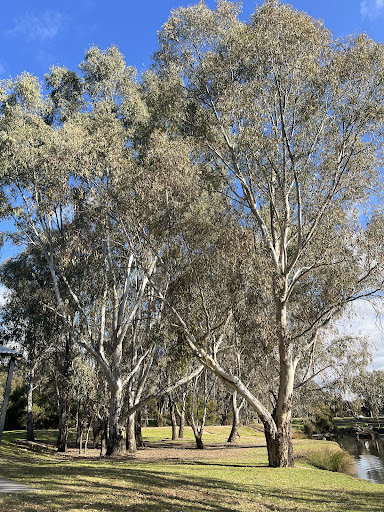 Julia Ronan Park Outdoor Gym - Thumbnail