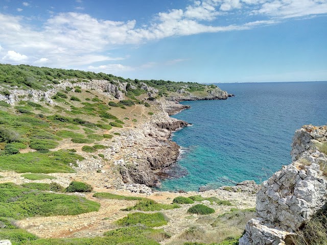 Parco Naturale Regionale di Porto Selvaggio e Palude del Capitano