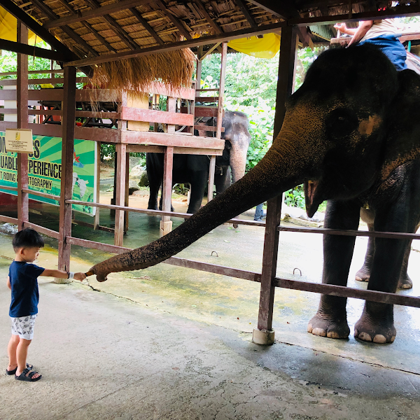 D Fly Preschool 幼儿园 Ulu Tiram