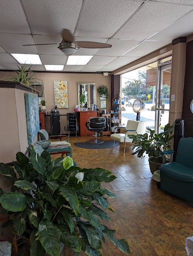 Zoey's Hair Salon - Thumbnail