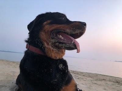 HappyDog M&E