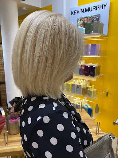 The Artist « Hair Stylist »