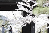 一花写真館｜Ichihana