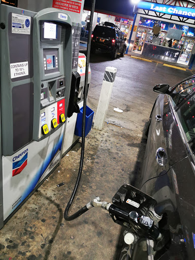 Chevron Laredo - Visual