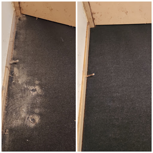 Hunter Valley Carpet and Tile Cleaning - Thumbnail
