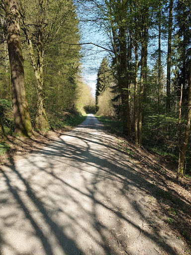 Wanderbahn Mosbach-Mudau - Thumbnail
