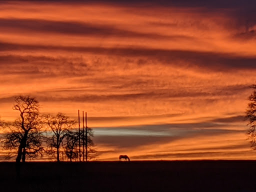 Center Ranch - Visual