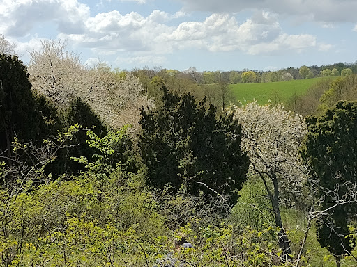 Körsbärsdalen - Thumbnail