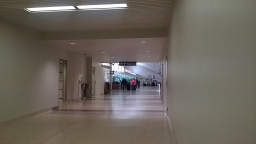 Rental Car Parking - Thumbnail