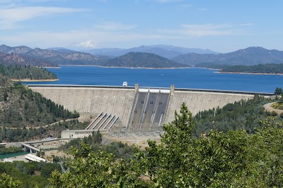 Shasta-Trinity National Forest