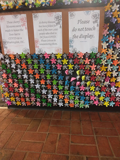 Juanita E. Thornton/Shepherd Park Neighborhood Library - Thumbnail