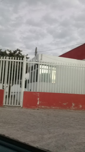 Lyncott Aguascalientes - Visual