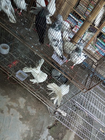 Photos of Shib Bari Bus Stand